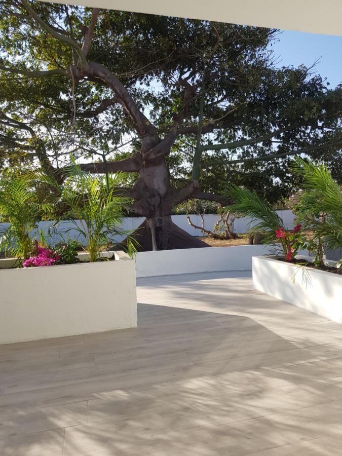 4-Pers Accomodatie Julianadorp, Curacao ウィレムスタッド エクステリア 写真