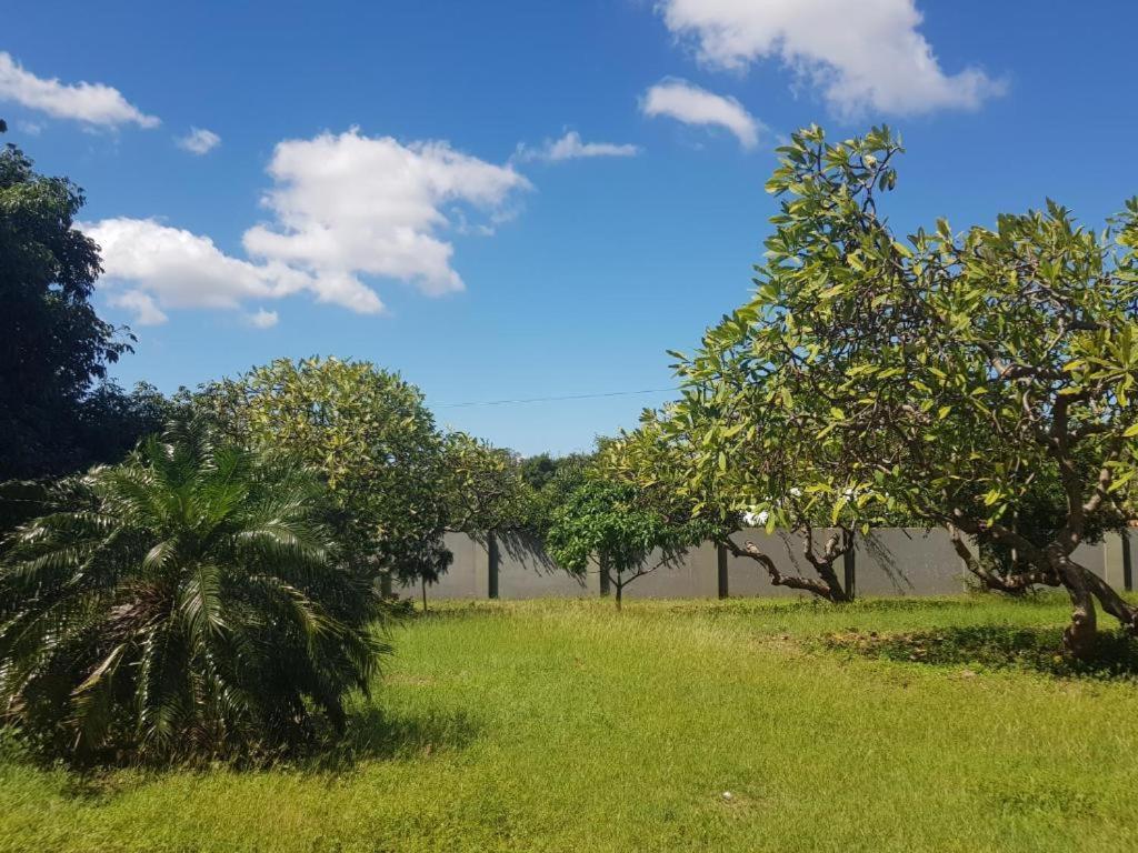 4-Pers Accomodatie Julianadorp, Curacao ウィレムスタッド エクステリア 写真